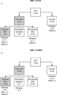 Highly-sensitive chimerism analysis in blood after allogeneic hematopoietic cell transplantation in childhood leukemia: Results from the Nordic Microchimerism Study